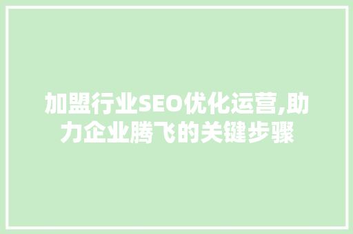 加盟行业SEO优化运营,助力企业腾飞的关键步骤 WordPress教程