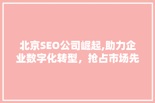 北京SEO公司崛起,助力企业数字化转型，抢占市场先机 建站教程