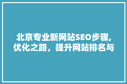 北京专业新网站SEO步骤,优化之路，提升网站排名与用户体验 Web前端