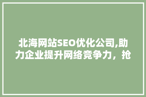 北海网站SEO优化公司,助力企业提升网络竞争力，抢占市场先机 Web前端