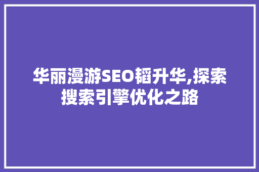 华丽漫游SEO韬升华,探索搜索引擎优化之路 Web前端