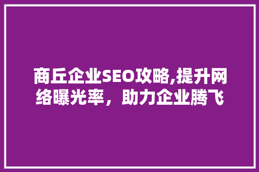 商丘企业SEO攻略,提升网络曝光率，助力企业腾飞 建站教程
