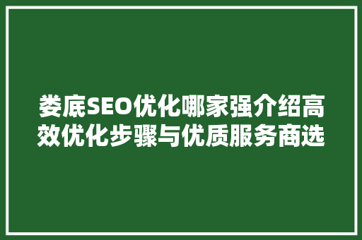 娄底SEO优化哪家强介绍高效优化步骤与优质服务商选择指南 友链在线