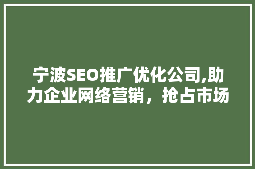 宁波SEO推广优化公司,助力企业网络营销，抢占市场先机 Web前端