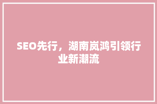 SEO先行，湖南岚鸿引领行业新潮流