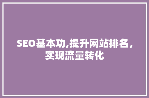 SEO基本功,提升网站排名，实现流量转化