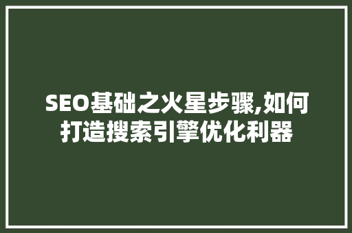 SEO基础之火星步骤,如何打造搜索引擎优化利器