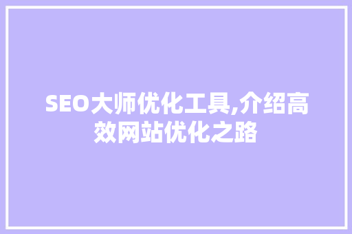 SEO大师优化工具,介绍高效网站优化之路