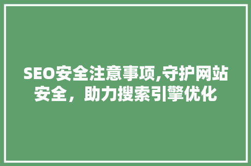 SEO安全注意事项,守护网站安全，助力搜索引擎优化