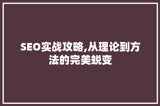 SEO实战攻略,从理论到方法的完美蜕变