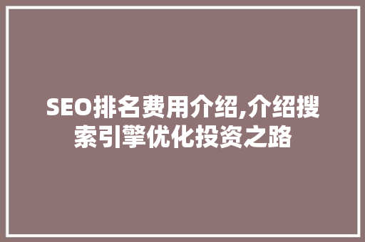 SEO排名费用介绍,介绍搜索引擎优化投资之路