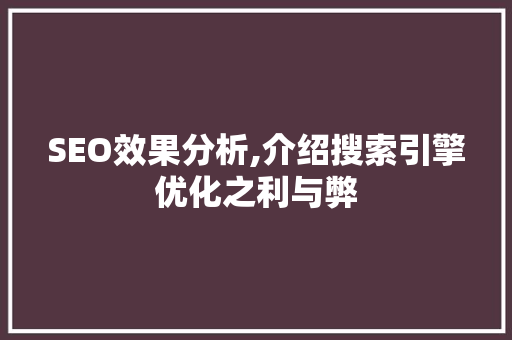 SEO效果分析,介绍搜索引擎优化之利与弊