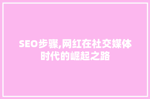 SEO步骤,网红在社交媒体时代的崛起之路