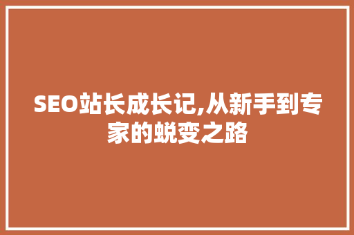 SEO站长成长记,从新手到专家的蜕变之路 建站教程