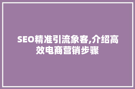 SEO精准引流象客,介绍高效电商营销步骤
