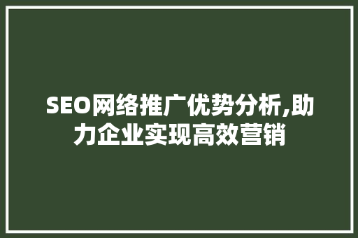SEO网络推广优势分析,助力企业实现高效营销