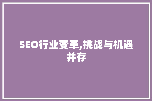 SEO行业变革,挑战与机遇并存