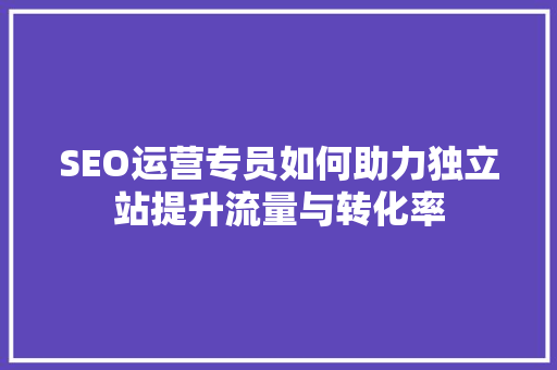 SEO运营专员如何助力独立站提升流量与转化率