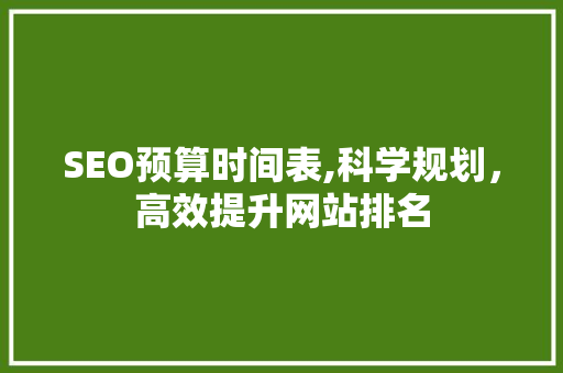 SEO预算时间表,科学规划，高效提升网站排名