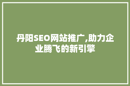 丹阳SEO网站推广,助力企业腾飞的新引擎