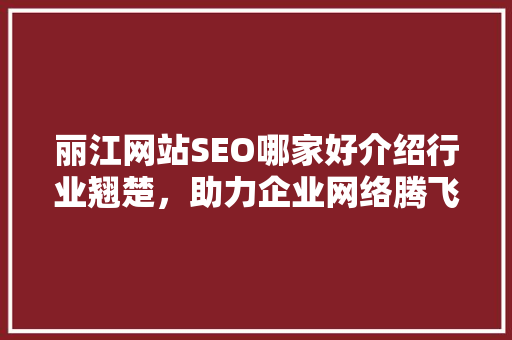 丽江网站SEO哪家好介绍行业翘楚，助力企业网络腾飞
