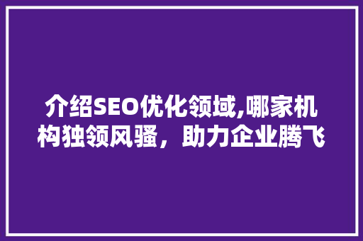 介绍SEO优化领域,哪家机构独领风骚，助力企业腾飞