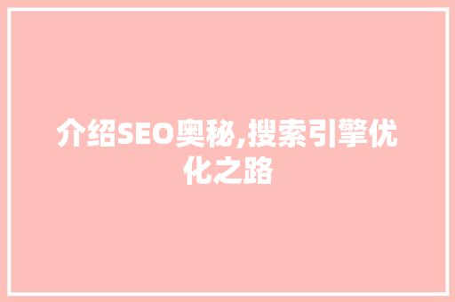 介绍SEO奥秘,搜索引擎优化之路