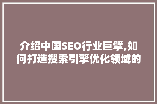 介绍中国SEO行业巨擘,如何打造搜索引擎优化领域的领军者 服务器/数据库