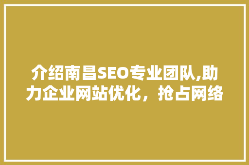 介绍南昌SEO专业团队,助力企业网站优化，抢占网络市场制高点