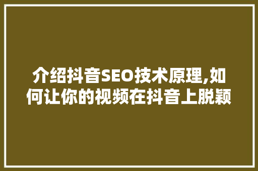 介绍抖音SEO技术原理,如何让你的视频在抖音上脱颖而出