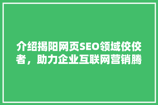 介绍揭阳网页SEO领域佼佼者，助力企业互联网营销腾飞