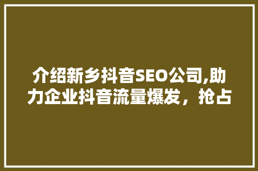介绍新乡抖音SEO公司,助力企业抖音流量爆发，抢占市场先机