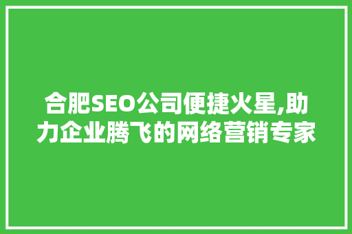 合肥SEO公司便捷火星,助力企业腾飞的网络营销专家