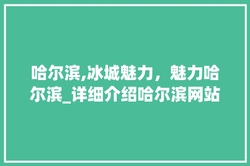 哈尔滨,冰城魅力，魅力哈尔滨_详细介绍哈尔滨网站SEO步骤