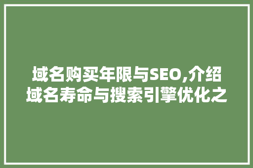 域名购买年限与SEO,介绍域名寿命与搜索引擎优化之间的奥秘