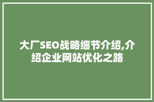 大厂SEO战略细节介绍,介绍企业网站优化之路