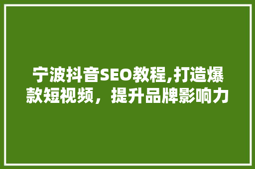 宁波抖音SEO教程,打造爆款短视频，提升品牌影响力
