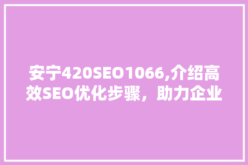 安宁420SEO1066,介绍高效SEO优化步骤，助力企业网络营销