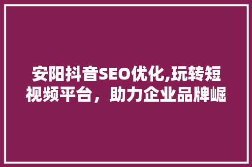 安阳抖音SEO优化,玩转短视频平台，助力企业品牌崛起