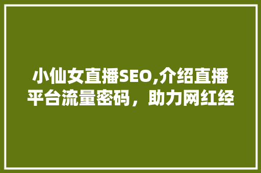 小仙女直播SEO,介绍直播平台流量密码，助力网红经济腾飞