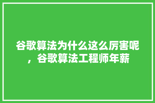 谷歌算法为什么这么厉害呢，谷歌算法工程师年薪