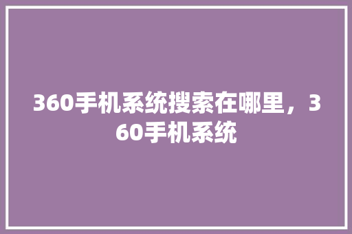 360手机系统搜索在哪里，360手机系统