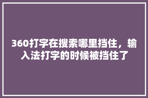 360打字在搜索哪里挡住，输入法打字的时候被挡住了