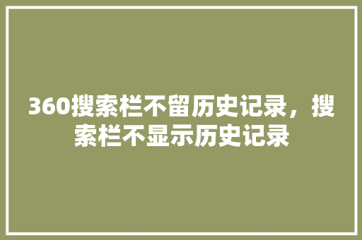 360搜索栏不留历史记录，搜索栏不显示历史记录 SEO教程