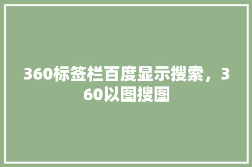 360标签栏百度显示搜索，360以图搜图 友链在线