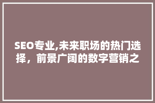 SEO专业,未来职场的热门选择，前景广阔的数字营销之路