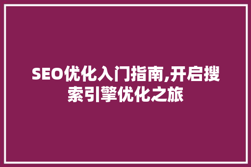 SEO优化入门指南,开启搜索引擎优化之旅