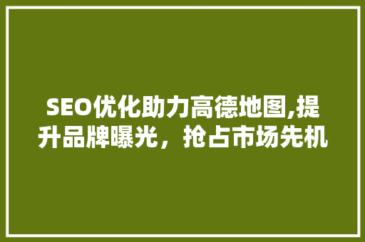 SEO优化助力高德地图,提升品牌曝光，抢占市场先机