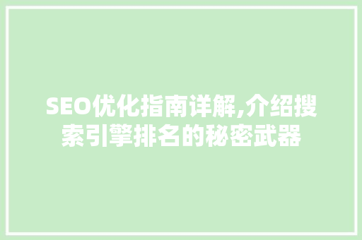 SEO优化指南详解,介绍搜索引擎排名的秘密武器
