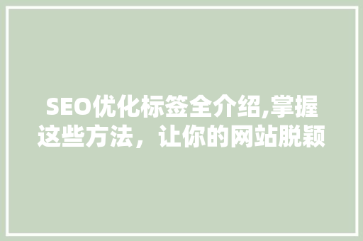 SEO优化标签全介绍,掌握这些方法，让你的网站脱颖而出！